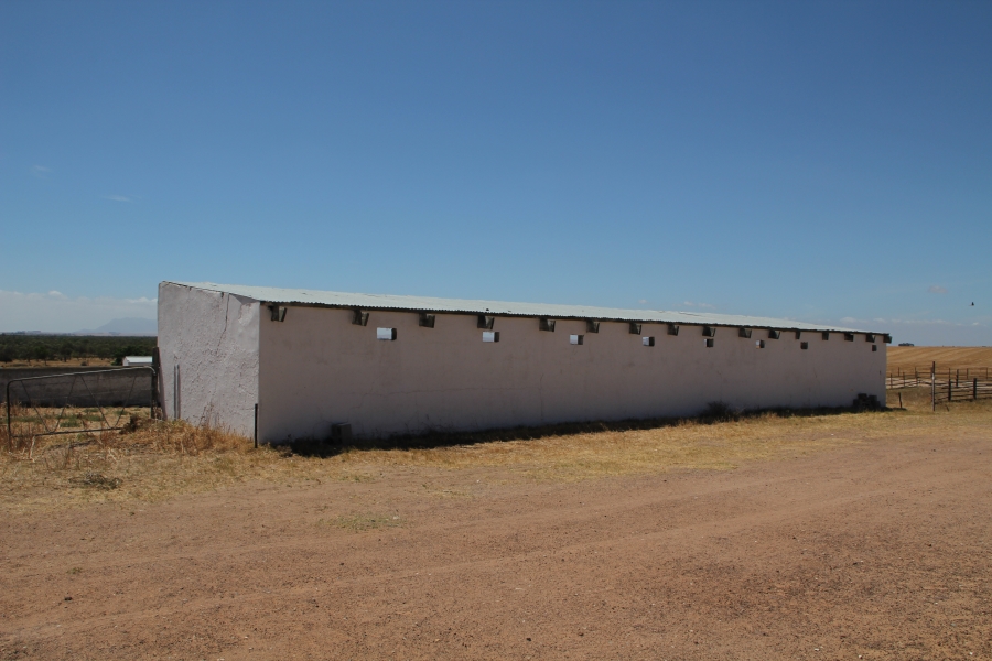 5 Bedroom Property for Sale in Darling Western Cape